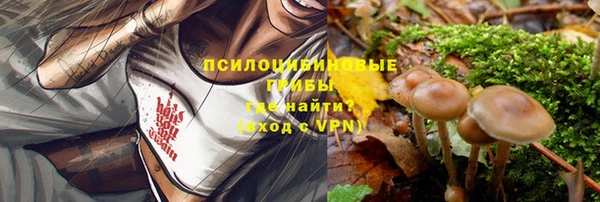 стафф Алексин